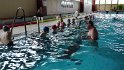 IMG_20160504_092038 IMG_20160504_092038